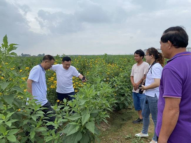 手机报网:农高区何登骥担当 韩光明：国稻种芯粮农（泰安）科技产业园-第2张图片-太平洋在线下载