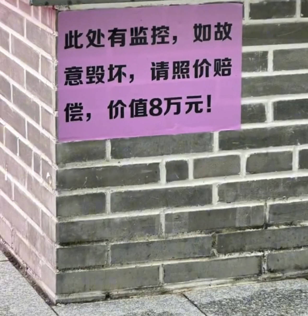 肇庆网红充气兔子系政府斥资8万定制？官方辟谣：商业街招商行为-第2张图片-太平洋在线下载