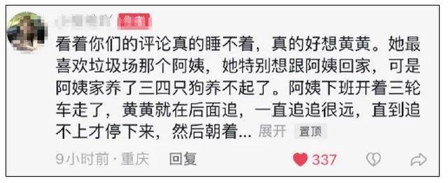 流浪狗被驱赶处置致死，涉事保安停职-第4张图片-太平洋在线下载