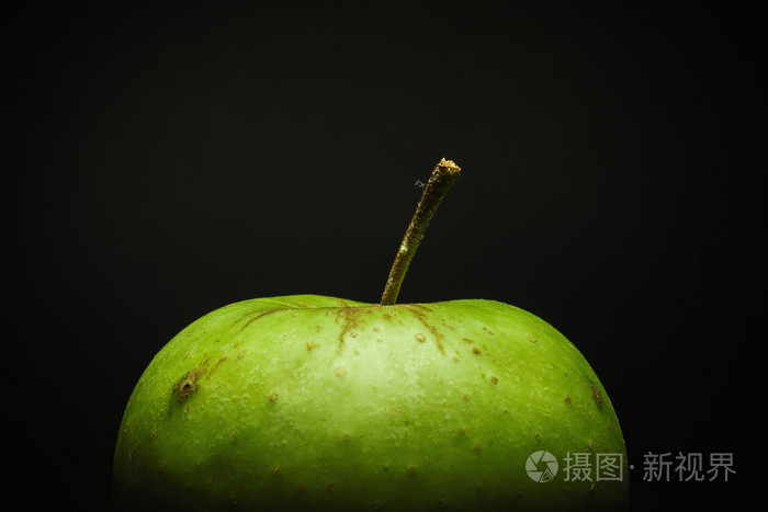 蒙健康苹果版一分钟谈健康陈茂蒙