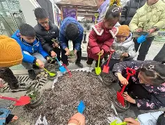 莓园无线手机版(霉园无限)-第5张图片-QuickQ官网