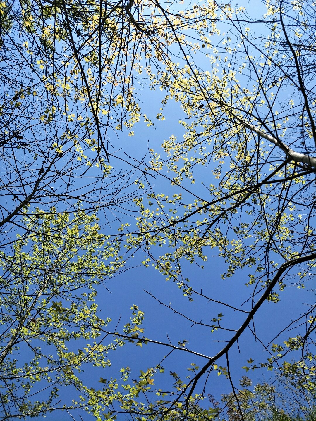 墨迹天气手机版2015(墨迹天气手机版下载免费安装)-第5张图片-QuickQ官网