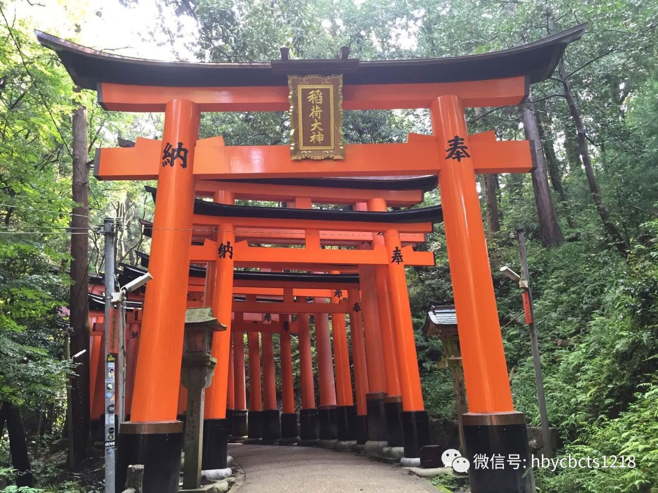 红色东京下载地址手机版(红色东京下载地址手机版安装)-第4张图片-QuickQ官网