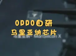 怎么隐藏手机版qq号(怎么隐藏手机版号不被发现)-第3张图片-QuickQ官网